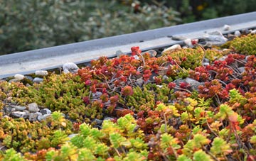 the cost of Duncombe green roof installation