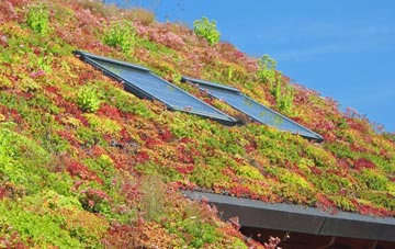 Duncombe living roof systems