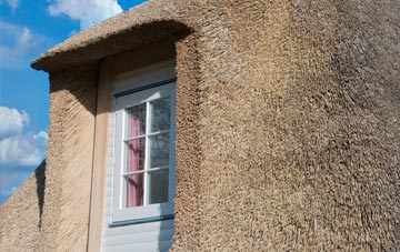 Duncombe thatch roof disadvantages