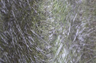 Duncombe fibreglass roof work